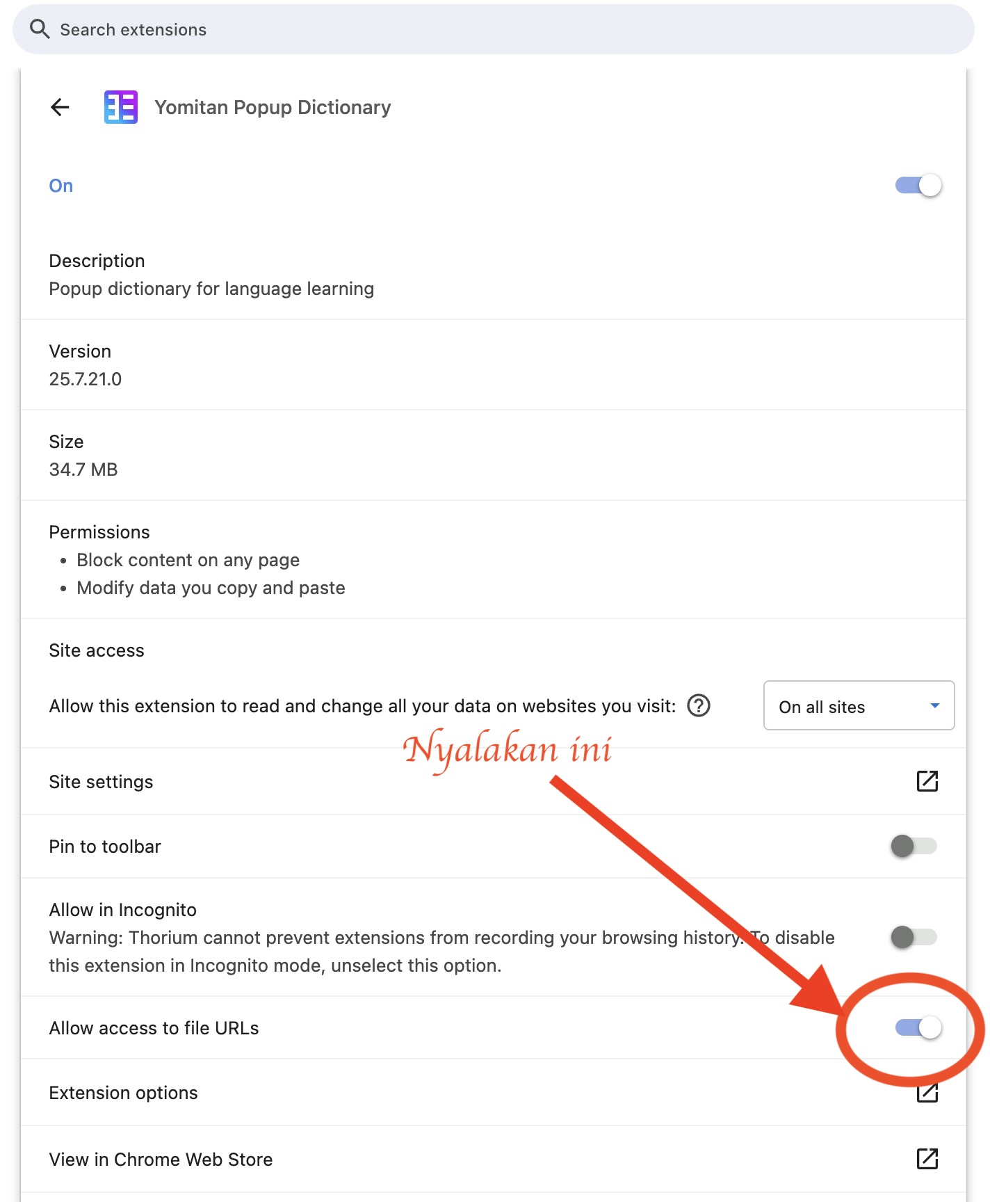 Chrome/Edge URL Access
